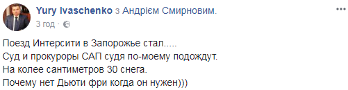 "На колії 30 сантиметрів снігу": потяг "Інтерсіті" застряг на шляху до Києва через погоду