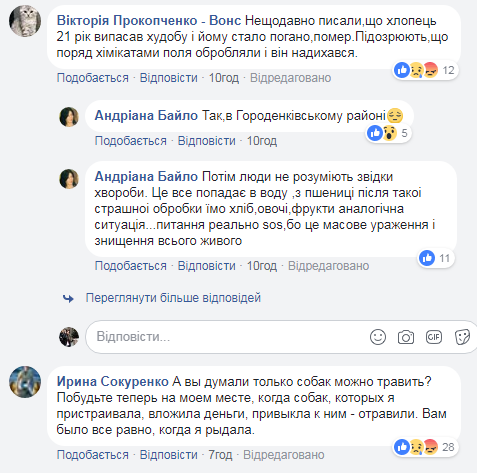 В Івано-Франківській області стадо корів отруїлося через хімікати на полях (фото)