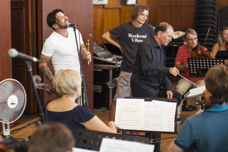 "Батурин. Ренесанс Незалежності": Руслана, Положинский и другие артисты рассказали об особом концерте для украинцев