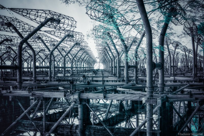 "Рай на планеті": опубліковано незвичайні фото зимового Чорнобиля