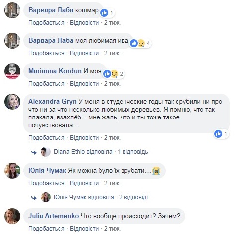 Знищення дерев у парку КПІ: проректор прокоментував спилювання 100-річних насаджень