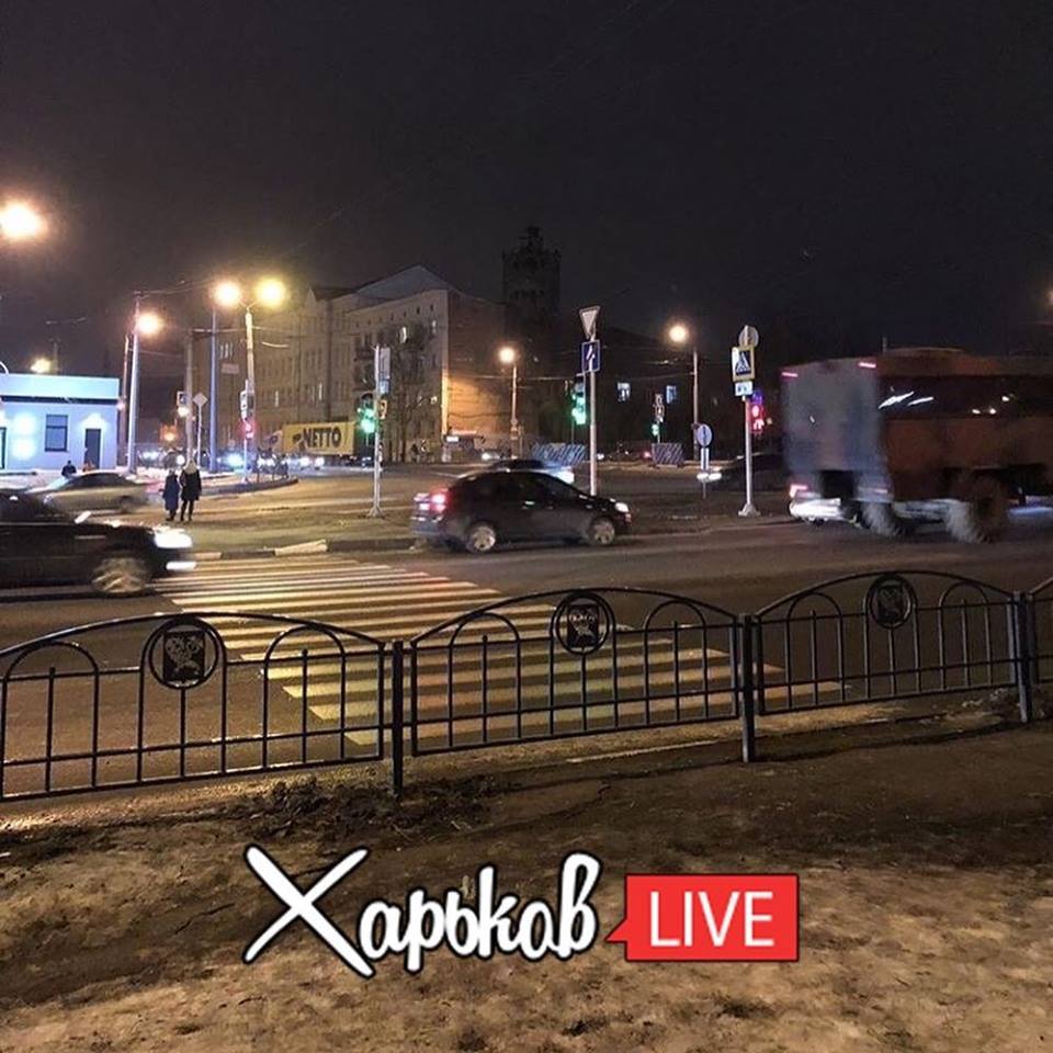 "Это по-нашему": в Харькове появилась необычная "зебра"