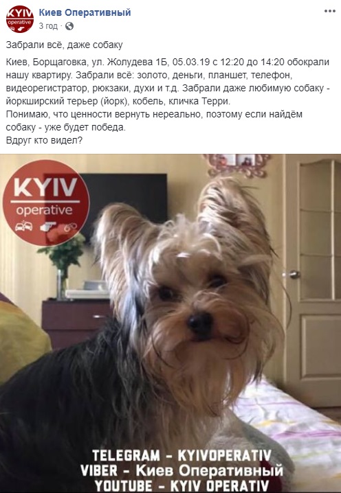 Вынесли даже собаку: дерзкое ограбление шокировало киевлян