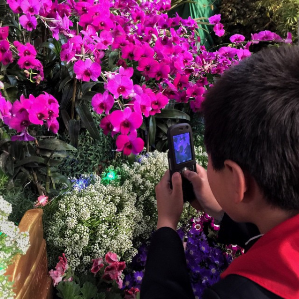 Instagram в КНДР: корейцы пытаются быть в тренде (ФОТО)