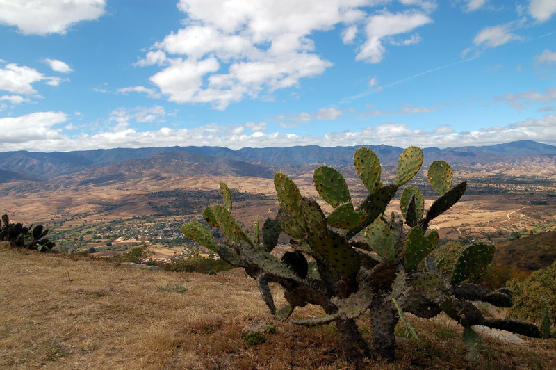 Археологи обнаружили в Мексике дворцовый комплекс, которому более 2 тыс. лет