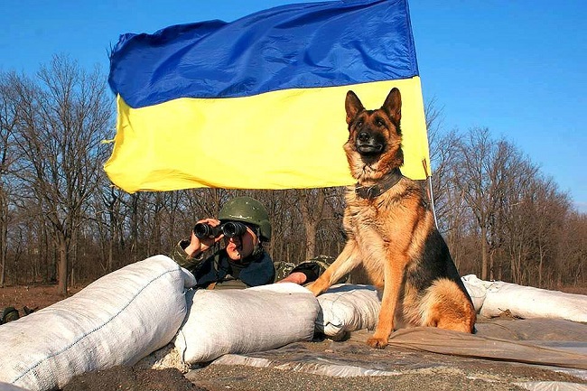 Ілюстративне фото 