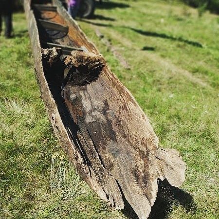 Под Житомиром ученые обнаружили в реке древнюю находку: она почти уцелела