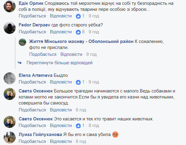 В Киеве пенсионер отстреливает котов и собак