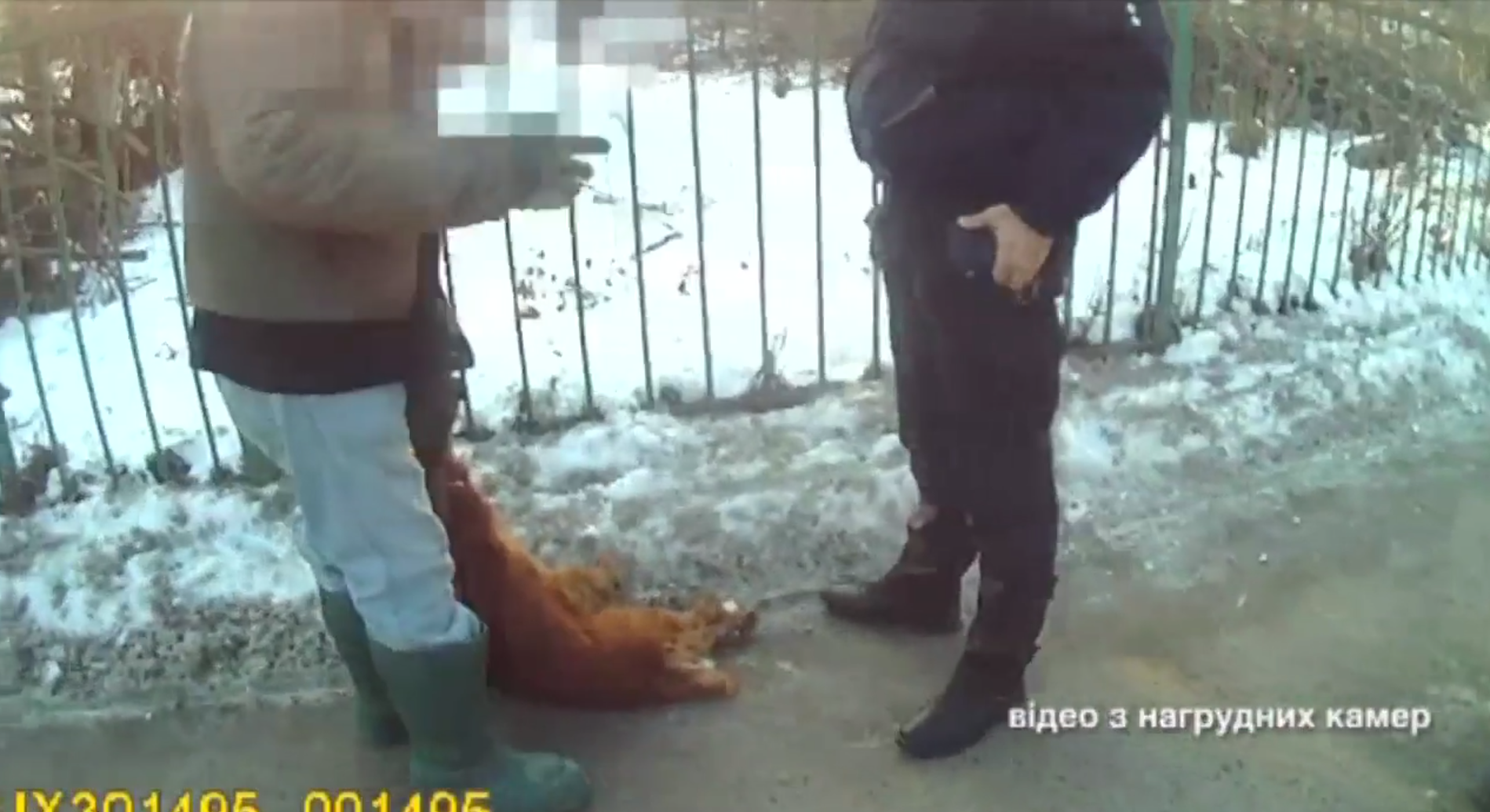 У Львові пенсіонер вивів на прогулянку мертвого собаку