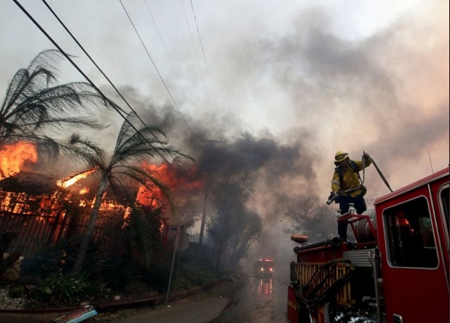 Лос-Анджелес горит: пожар пожирает леса, дома и животных