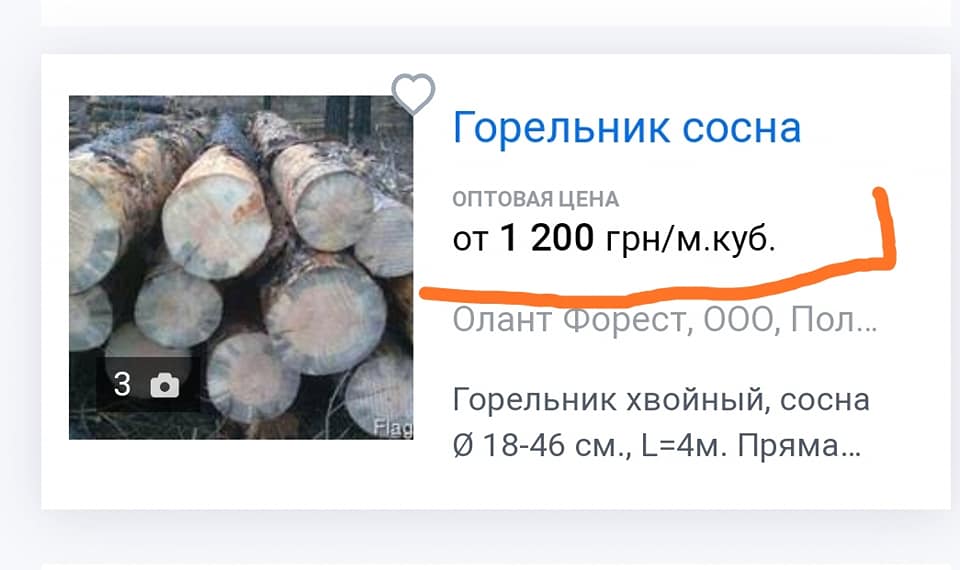 Украинцам рассказали о "бизнесе" на лесных пожарах: посторонних туда не пустят