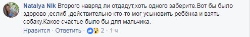 Сеть поразила история привязанной собаки и ее маленького хозяина