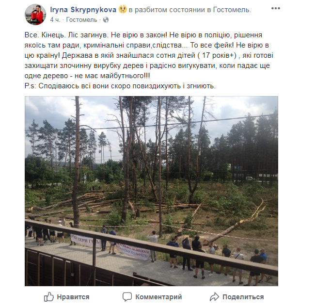 Назад у 90-ті: як &quot;тітушки&quot; і &quot;братки&quot; знищують ліс у Гостомелі