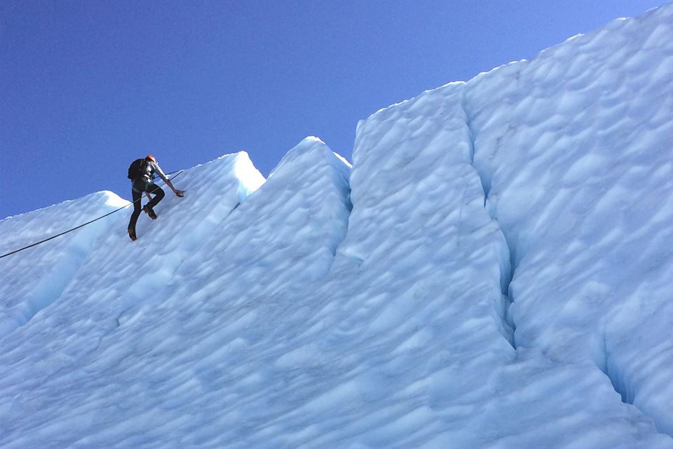 Максим Заселян