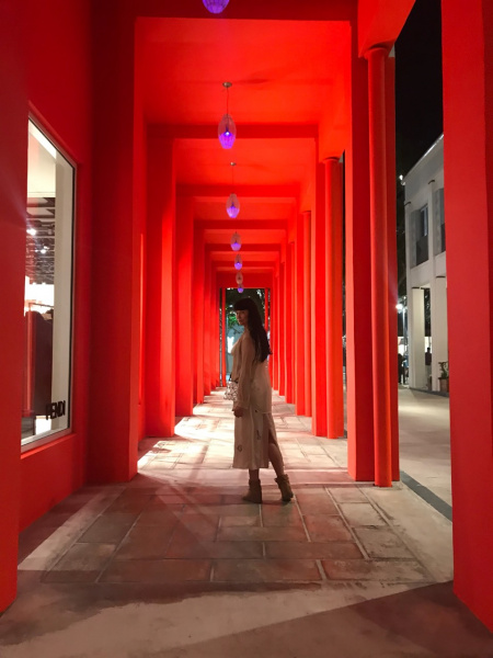 Без олів'є, "шуби" та пишного застілля: як Асія Ахат зустріла Новий рік у США