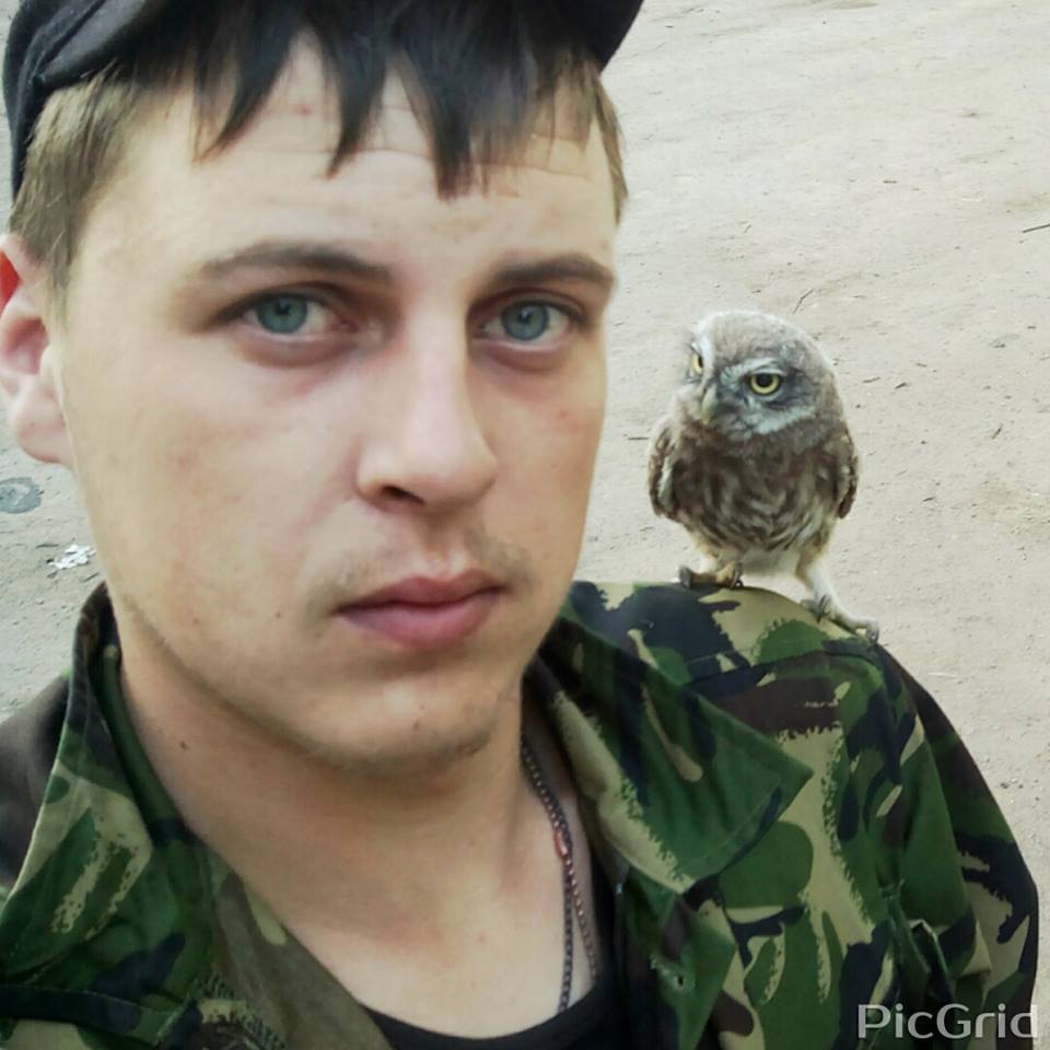 Пушистики в АТО: усатые побратимы украинских воинов (фото)