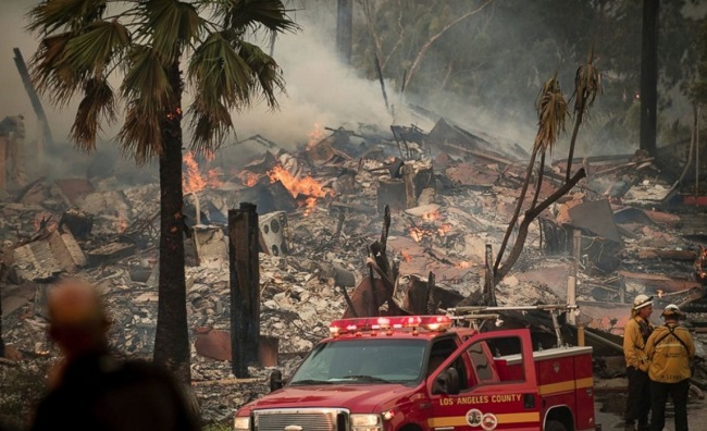 Лос-Анджелес горит: пожар пожирает леса, дома и животных