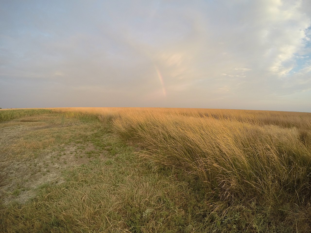 Отдых с комфортом: пять необычных и уютных мест на Черном море