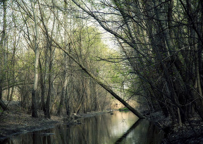 Почайна сегодня