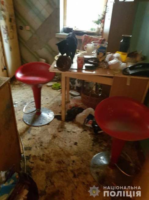 Бутылки и горы мусора: в Киеве 11-летнюю девочку забрали от родителей-алкоголиков (фото)
