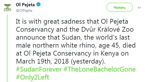 У Кенії помер останній в світі північний білий носоріг