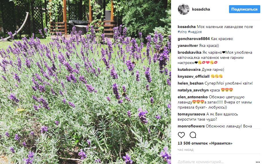 Катя Осадча похвалилася оригінальним полем у власному дворі