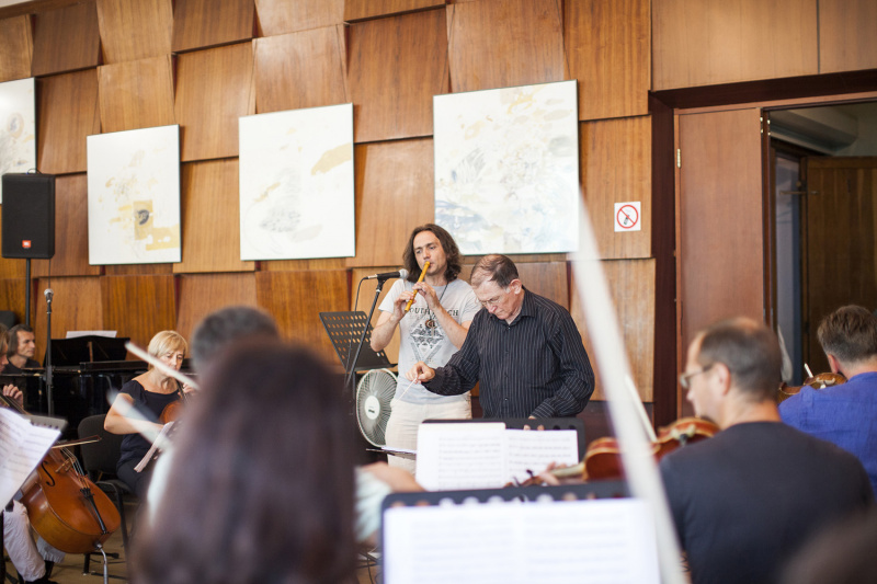 "Батурин. Ренесанс Незалежності": Руслана, Положинский и другие артисты рассказали об особом концерте для украинцев