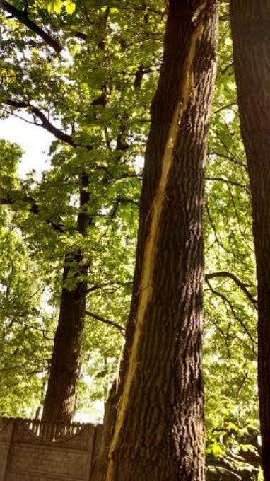 молния В Киеве