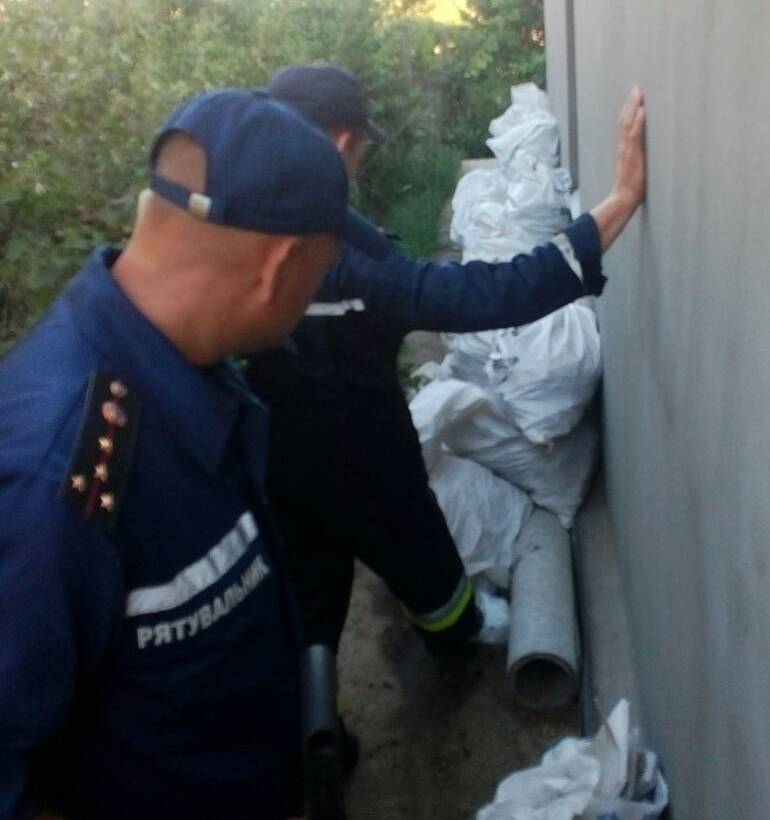 Огромная змея не на шутку напугала жителей Херсона (фото)