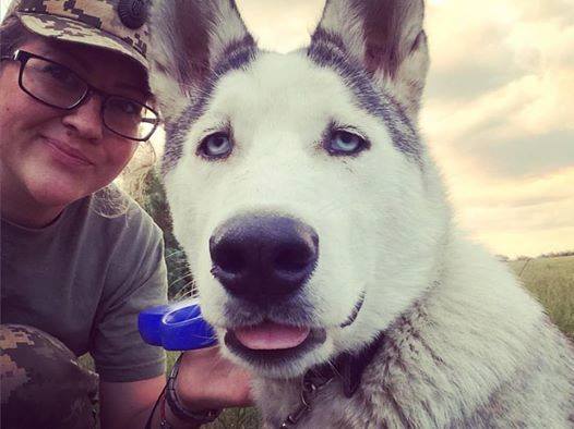 Пушистики в АТО: усатые побратимы украинских воинов (фото)