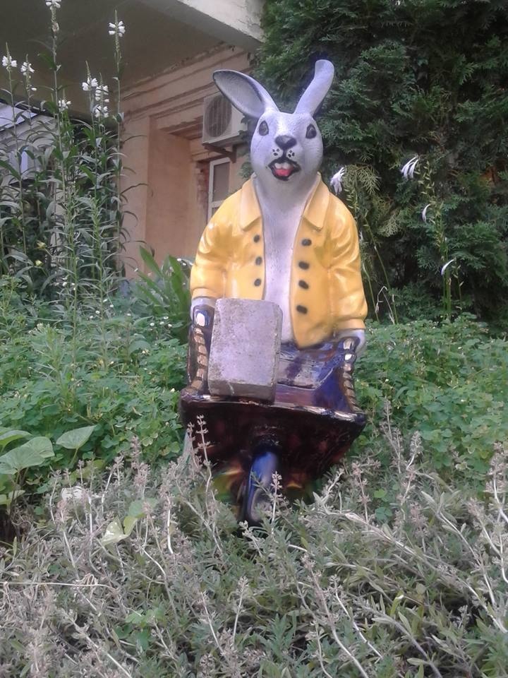 В центре столицы появился радиозаяц