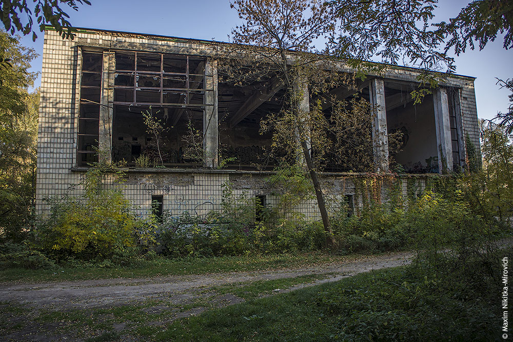 "Под угрозой исчезновения": в Киеве пытаются спасти водное поло