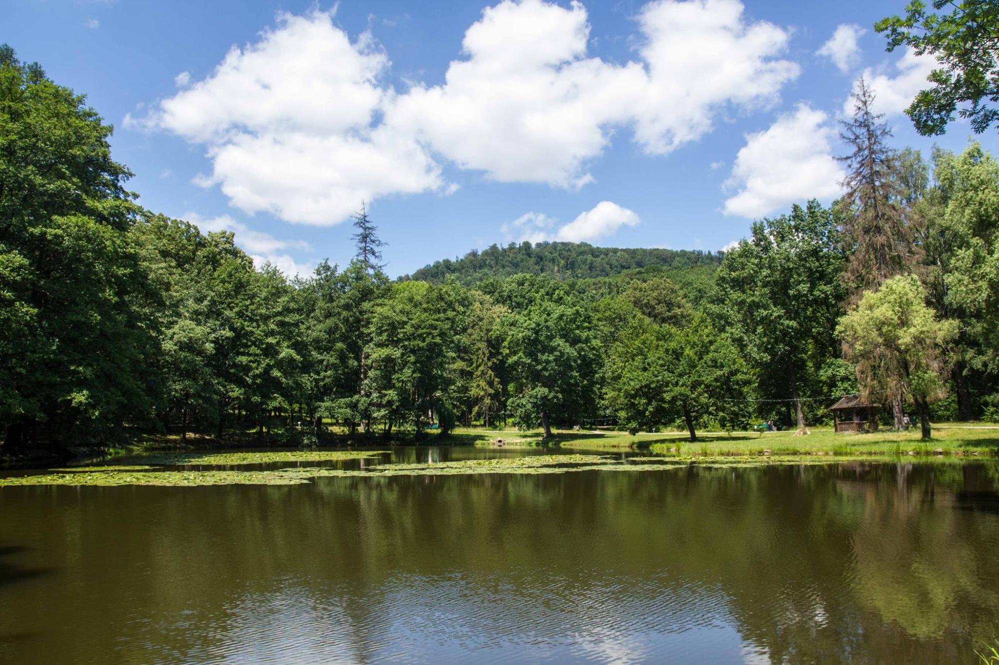 Закарпатье: когда в запасе пять дней на путешествие