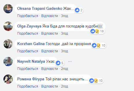 В Івано-Франківській області стадо корів отруїлося через хімікати на полях (фото)