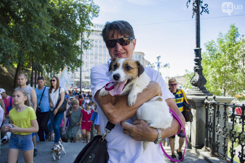 У Києві пройшов парад собак породи джек-рассел-тер'єр (фото)