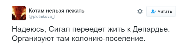 "Мистер Сигал, есть ли жизнь после смерти?": в сети смеются над российским гражданством Сигала