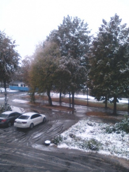 В Украине выпал первый снег: яркие фото и видео