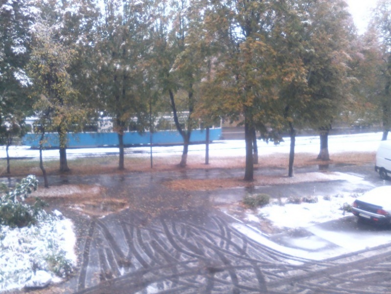 В Украине выпал первый снег: яркие фото и видео