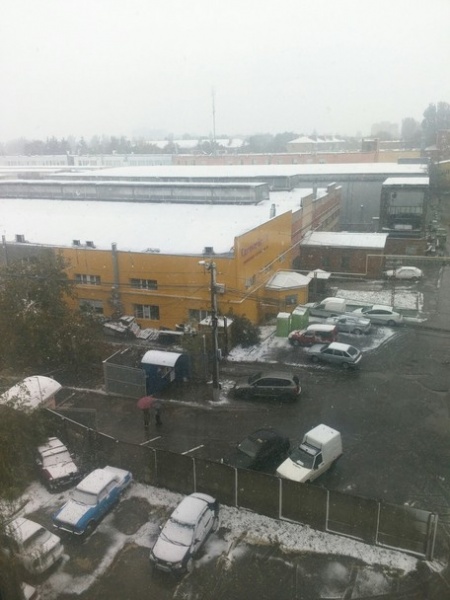 В Украине выпал первый снег: яркие фото и видео