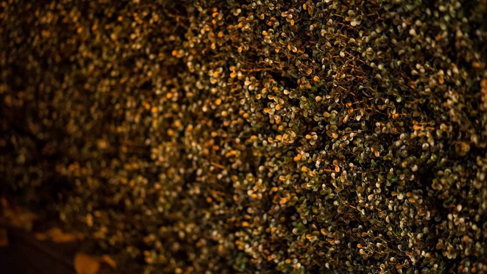 &quot;Хотели как лучше&quot;: семь решений городских проблем, которые не улучшили жизнь Киева