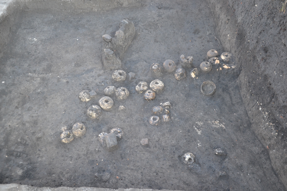 Под Львовом нашли ткацкую мастерскую двухтысячелетней давности