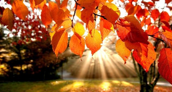 Можно не утепляться: синоптики рассказали о погоде 28 октября