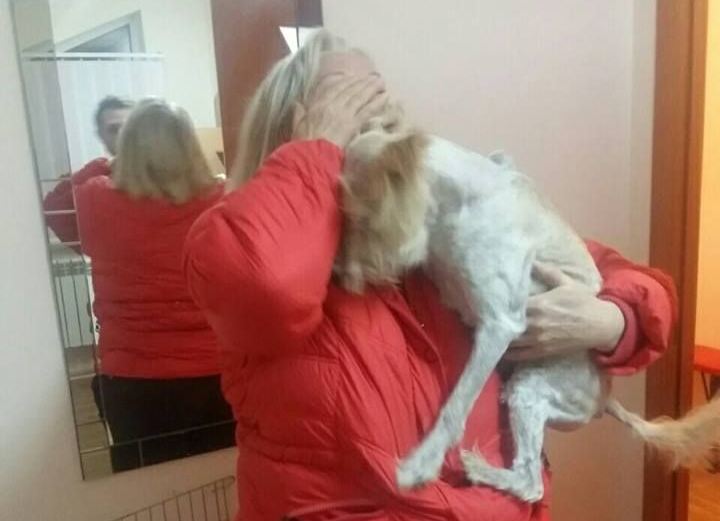 Неравнодушные киевляне спасли старую слепую собаку