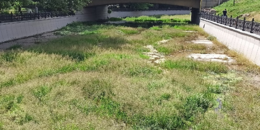 Окупанти довели Крим до екокатастрофи: з'явилося сумне фото