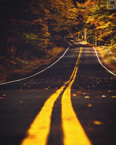 Осінь у Нью-Йорку: опубліковані чарівні фото мегаполісу