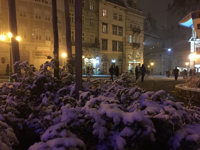 Снегопады в Украине: самые невероятные фото