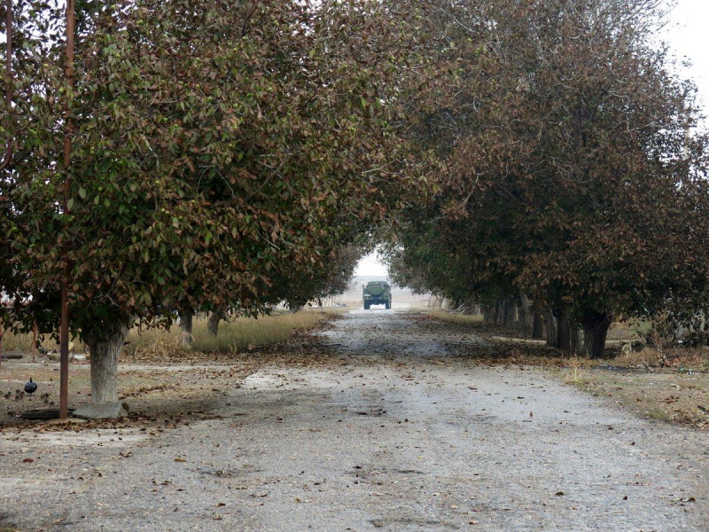 "Цветет и пахнет кислотой": в сети показали, как выглядит оккупированный Крым после химических выбросов