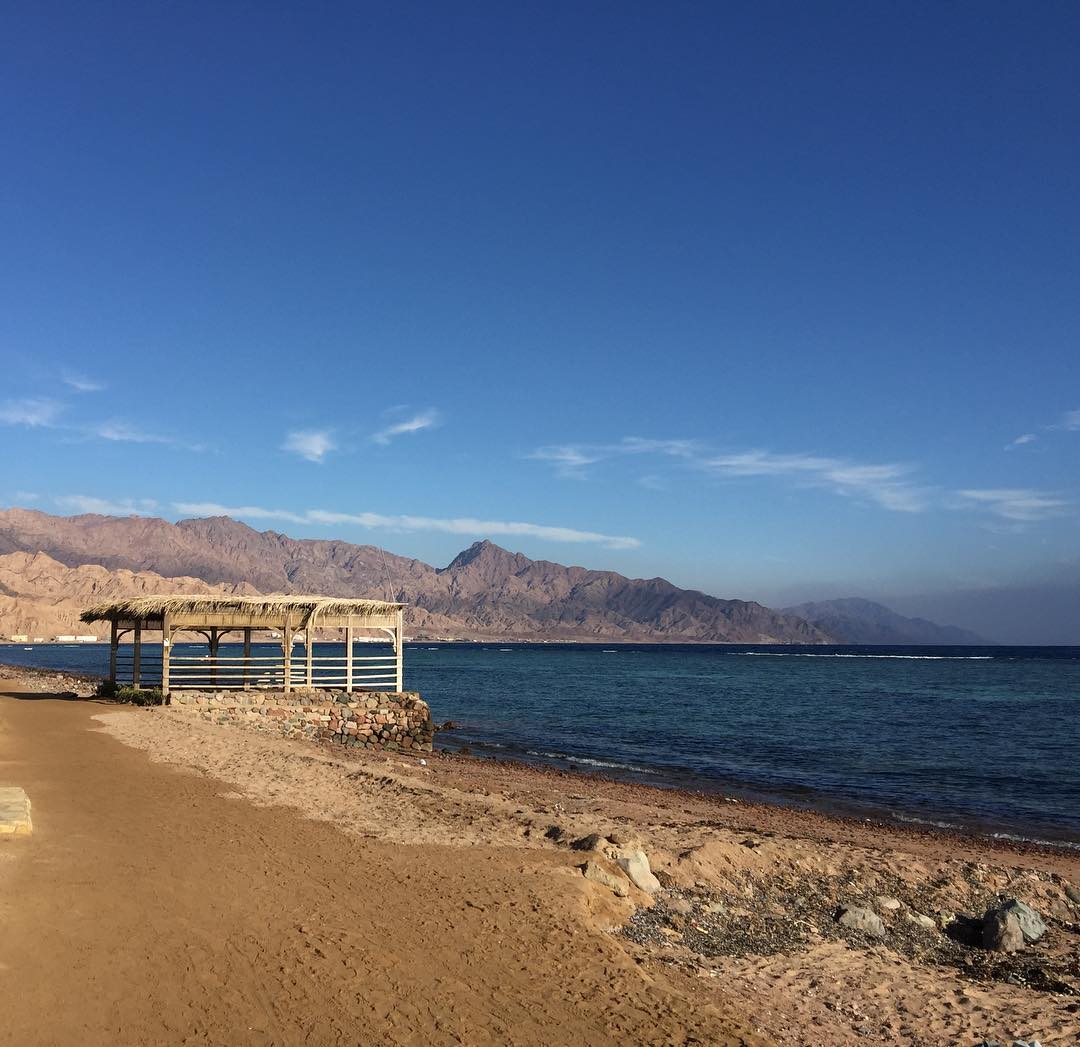 Наталья Могилевская в Египте 