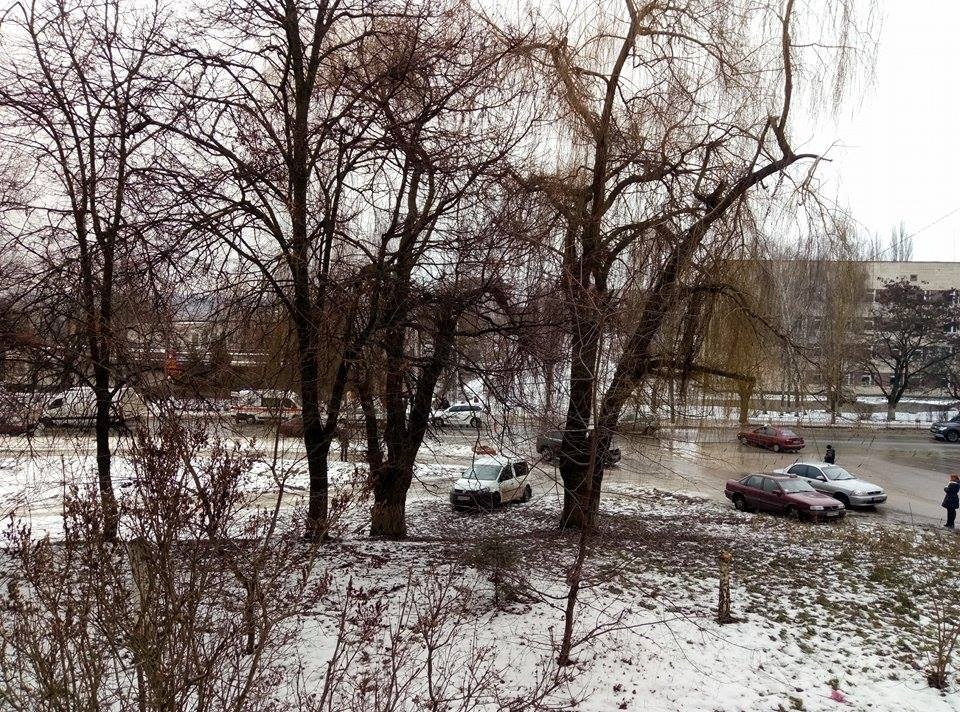 У Житомирській області машина збила першокласницю, яка переходила дорогу на переході (фото)