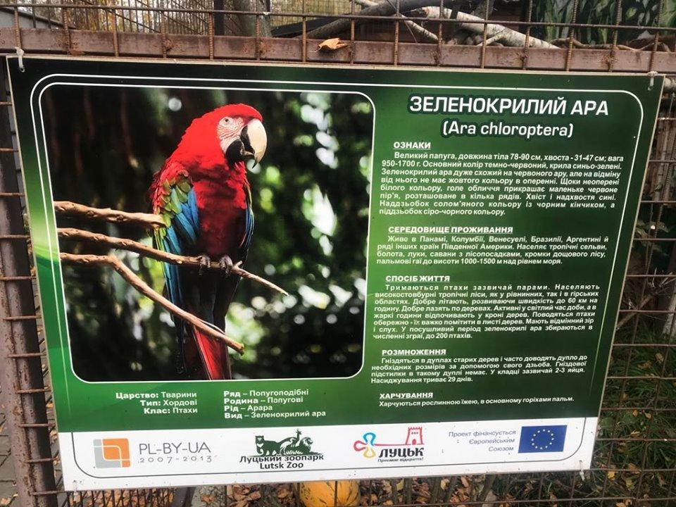В Луцке из зоопарка украли экзотических птиц: все детали